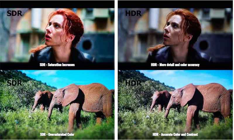 4K HDR10 HLG AND SDR VIDEO QUALITY
